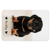 Stylish Cute Hearts Pet Photo Name | Black マグネット (横)