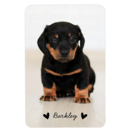 Stylish Cute Hearts Pet Photo Name | Black マグネット