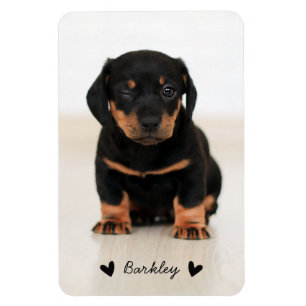 Stylish Cute Hearts Pet Photo Name Black マグネット