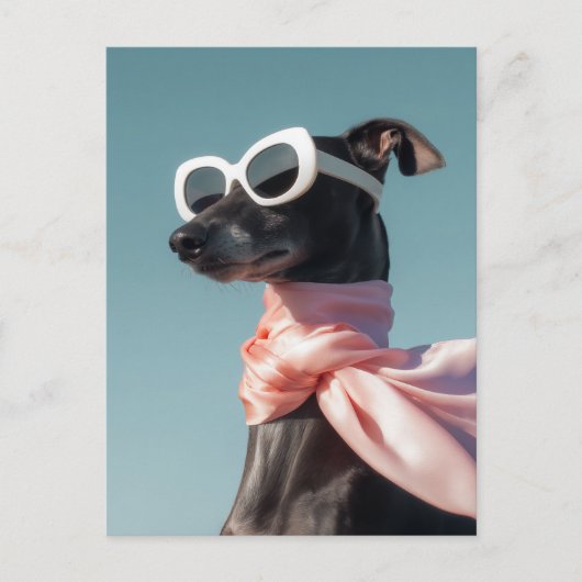 Stylish Dog With Sunglasses Scarf ポストカード (正面)