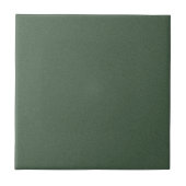 Stylish Green Texture Ceramic Tile for Walls タイル (正面)