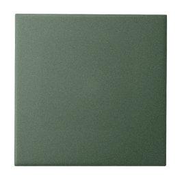 Stylish Green Texture Ceramic Tile for Walls タイル