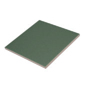 Stylish Green Texture Ceramic Tile for Walls タイル (側面)