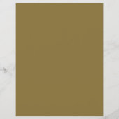 Stylish Musical Instrument Store Flyer チラシ (裏面)