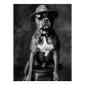 Stylish Pitbull with Hat and Sunglasses ポスター (正面)