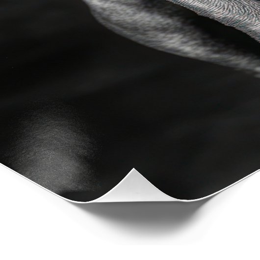 Stylish Pitbull with Hat and Sunglasses ポスター (コーナー)