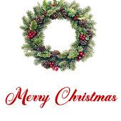 Stylish red black tartan Christmas gift bag name ミディアムペーパーバッグ