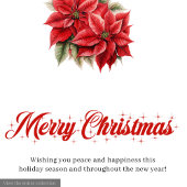 Stylish Red White Poinsettia Holiday Greeting Card シーズンカード