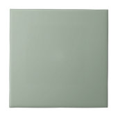 Stylish Sage Green Ceramic Tile for Modern Interio タイル (正面)