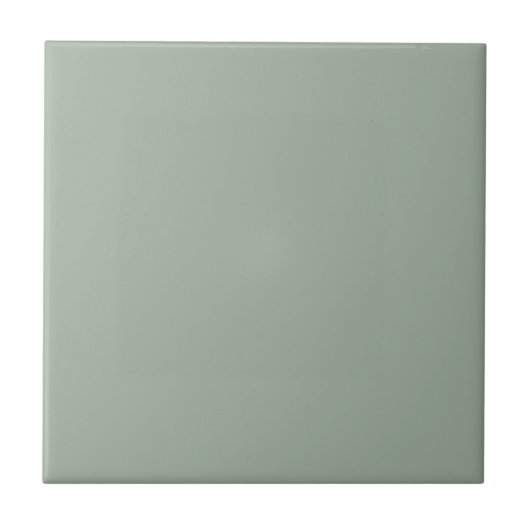 Stylish Sage Green Ceramic Tile for Modern Interio タイル (正面)