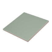 Stylish Sage Green Ceramic Tile for Modern Interio タイル (側面)