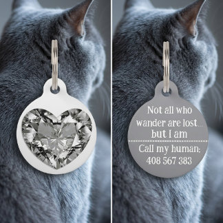Stylish Silver Diamond Dog Cat Call ID Lost Tag ペット　ネームタグ