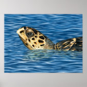 Stylized Basking Hawksbill Sea Turtle ポスター (正面)