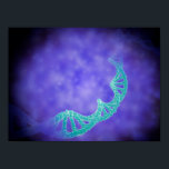 Stylized View Of Strands Of Human DNA ポスター<br><div class="desc">Stylized view of strands of human DNA.</div>