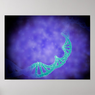 Stylized View Of Strands Of Human DNA ポスター