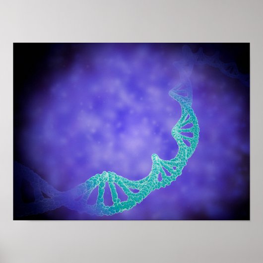 Stylized View Of Strands Of Human DNA ポスター (正面)