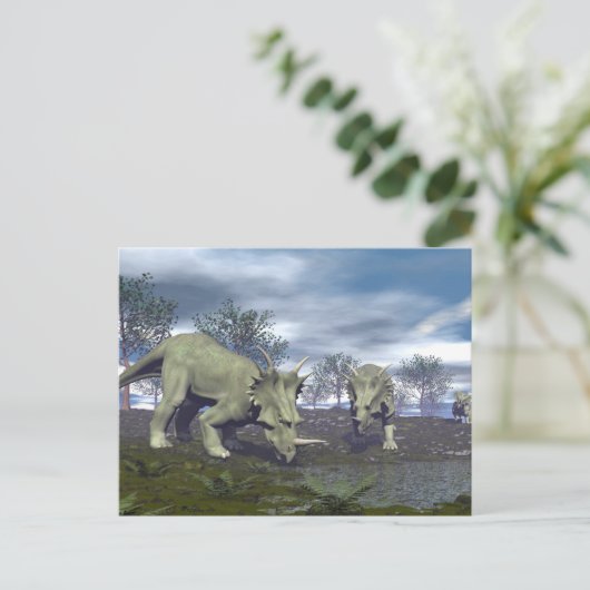 Styracosaurus ポストカード (スタンド正面)