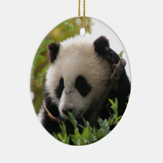 Su林のサンディエゴの動物園のジャイアントパンダの小熊 セラミックオーナメント (右)
