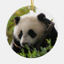 Su林のサンディエゴの動物園のジャイアントパンダの小熊 セラミックオーナメント