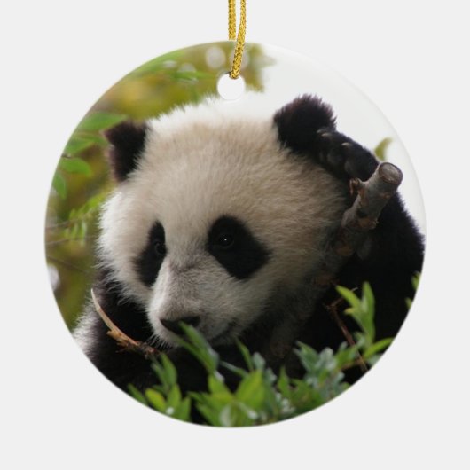Su林のサンディエゴの動物園のジャイアントパンダの小熊 セラミックオーナメント (正面)