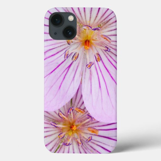 Sublette County、Wyoming、Sticky 2台のクローズアップ Case-Mate iPhoneケース (裏面)