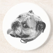 Subtle Pet Detail コースター (正面)