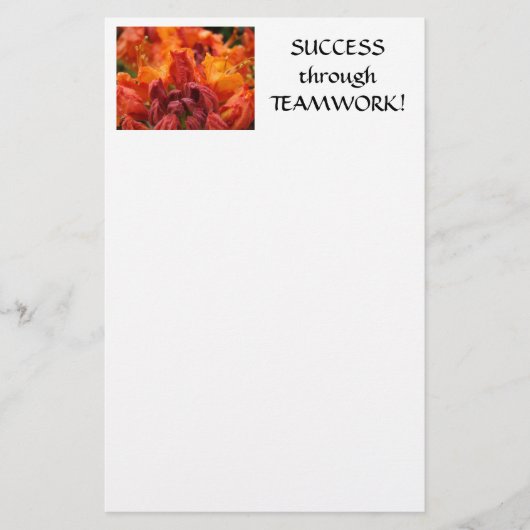 SUCCESS TEAMWORK 文房具 オフィス ギフト RHODIES 便箋 (正面)