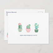 Succs Succulent 遠くに Cactiであるさま ポストカード (正面/裏面)