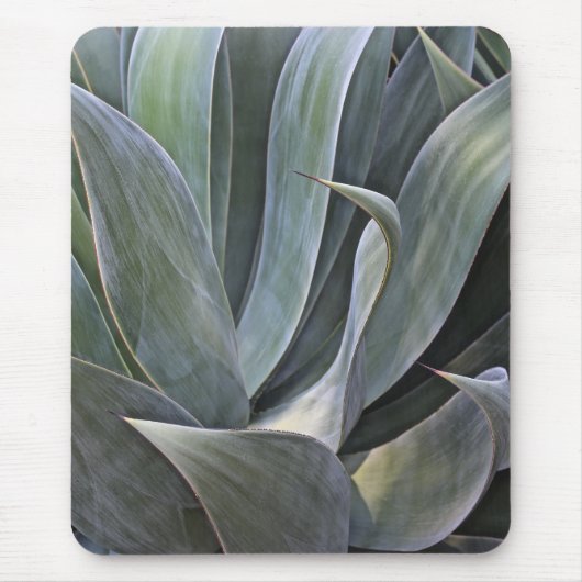 Succulantの衰退した詳細2017年 マウスパッド (正面)