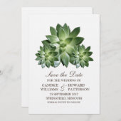 Succulentシンプル Save the Date招待状 セーブザデート (正面/裏面)