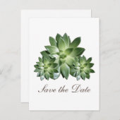 Succulentシンプル Save the Date招待状 案内ポストカード (正面/裏面)