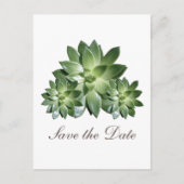Succulentシンプル Save the Date招待状 案内ポストカード (正面)