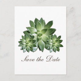 Succulentシンプル Save the Date招待状 案内ポストカード