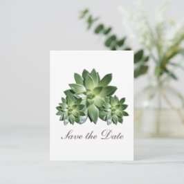 Succulentシンプル Save the Date招待状 案内ポストカード