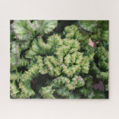 Succulent ジグソーパズル (横)