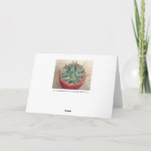 Succulent Agave victoriae-reginaeグリーティングカード カード (裏面)
