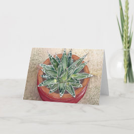 Succulent Agave victoriae-reginaeグリーティングカード カード