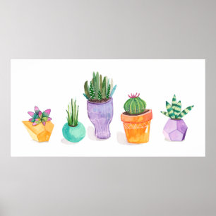 Succulent Display ポスター