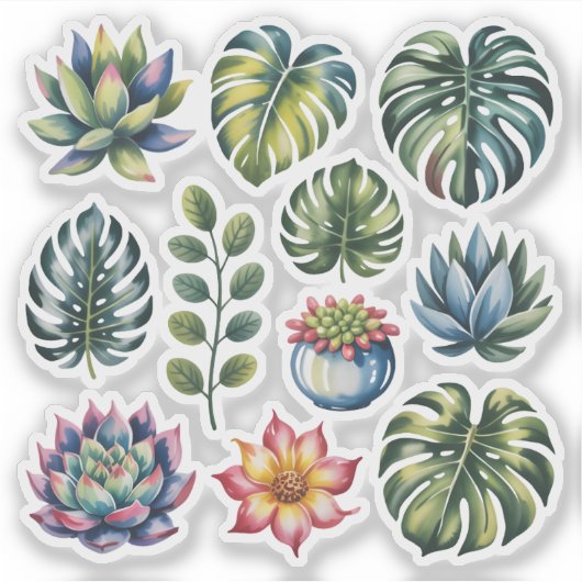 Succulent Garden Watercolor シール (正面)