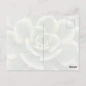 Succulent Postcard ポストカード (裏面)