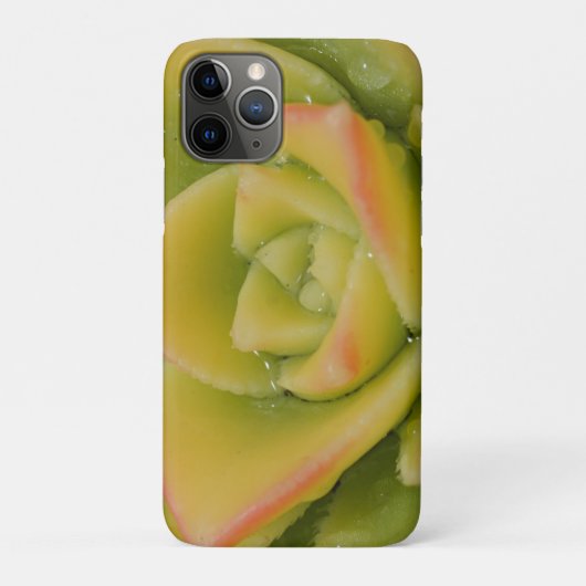 Succulent Rosette Nature Plant Photo Art Print Case-Mate iPhoneケース (裏)