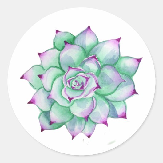 Succulent Stickers ラウンドシール (正面)
