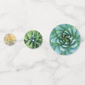 Succulentsのカラフルな組合せ コンフェッティ (正面)