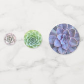 Succulentsのカラフルな組合せ コンフェッティ (裏面)