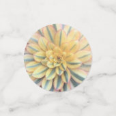 Succulentsのカラフルな組合せ コンフェッティ (スモール正面)