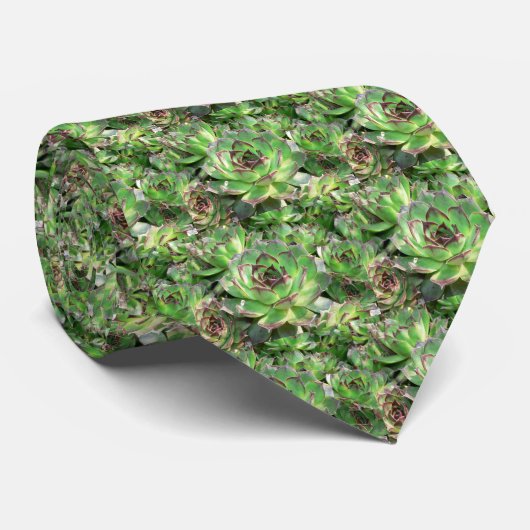 Succulents ネクタイ (ロール)