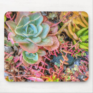 Succulents マウスパッド