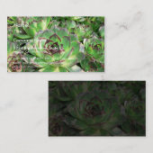 Succulents 名刺 (正面/裏面)