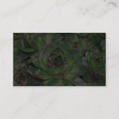 Succulents 名刺 (裏面)