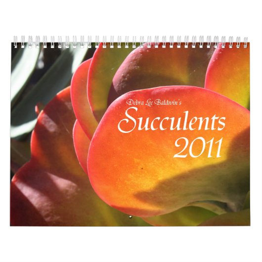 Succulents 2011のカレンダー カレンダー (カバー)